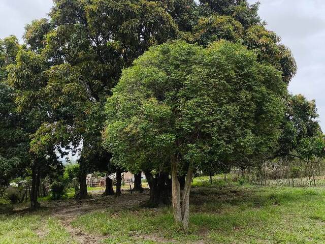 #03275 - Terreno para Venda em Sorocaba - SP - 3